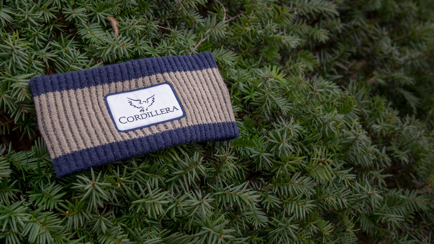 Ribbed Ear Band laying on pine needles