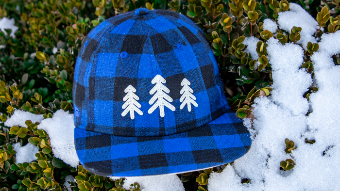 Snow hat in a snowy bush