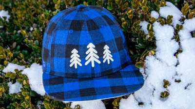 Snow hat in a snowy bush