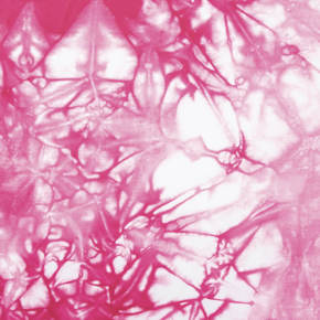 Bright Berry Tie-Dye
