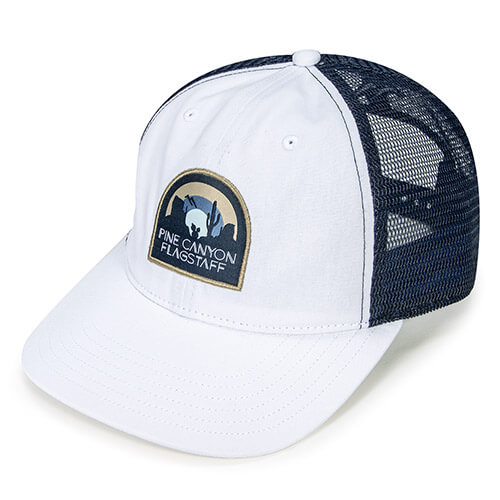 White / Navy