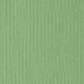Kiwi Recycled Nylon