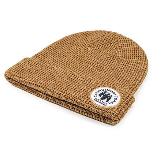 Acorn