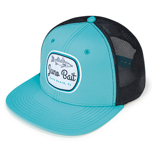Aqua / Navy
